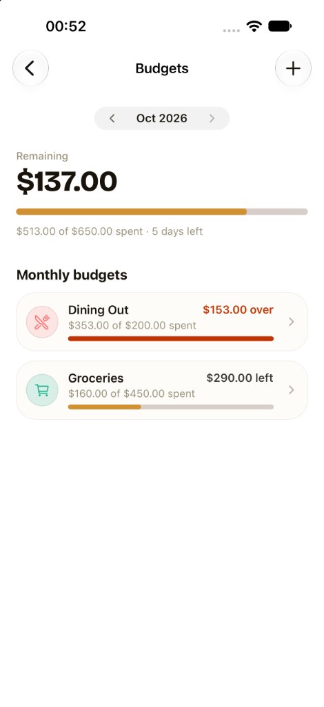 Iron Wealth financial planning dashboard