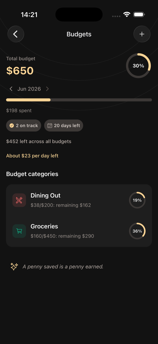 Iron Wealth financial planning dashboard